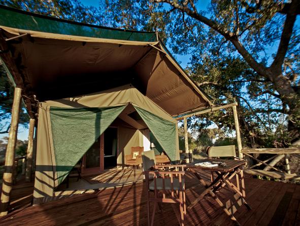 Pom Pom Camp - tent exterior